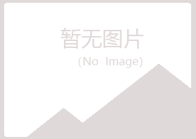 红河夏岚咨询有限公司